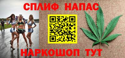 прущие грибы Малгобек